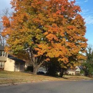 Meet your Posher, Deanna